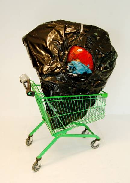 7) Untitled (the world is a feeling - shopping cart) 1